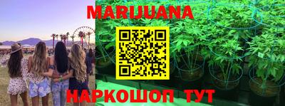 гидропоника Ипатово