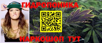 гидропоника Ипатово